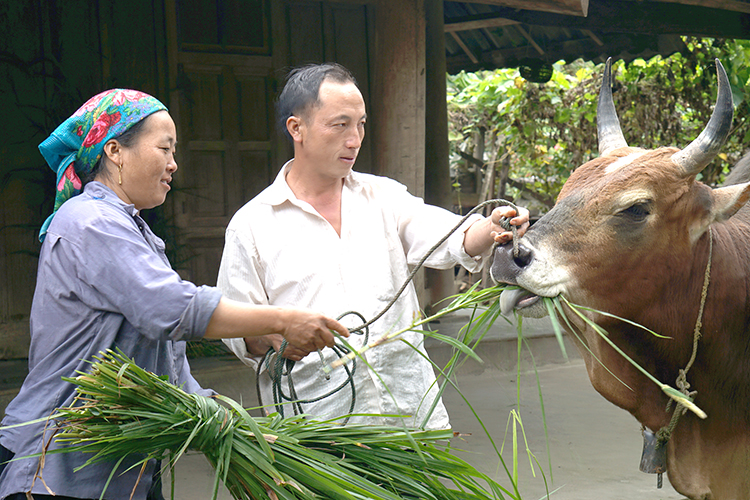 Nghệ An - “Cổng trời” đã khác!