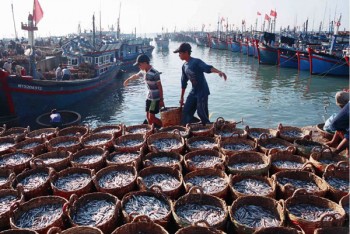 Phát huy hơn nữa vai trò khu kinh tế ven biển