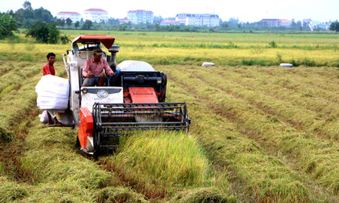 Đối thoại công – tư APEC: Tăng cường an ninh lương thực