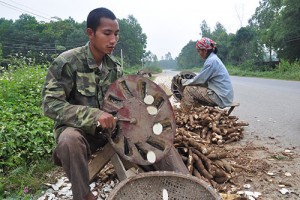 Tăng thuế xuất khẩu sắn lát: Cần lộ trình thích hợp (Kỳ I)