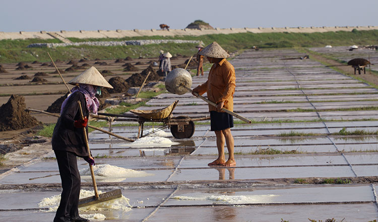 Để vị muối đừng thêm chát - Kỳ I: Tồn kho lớn