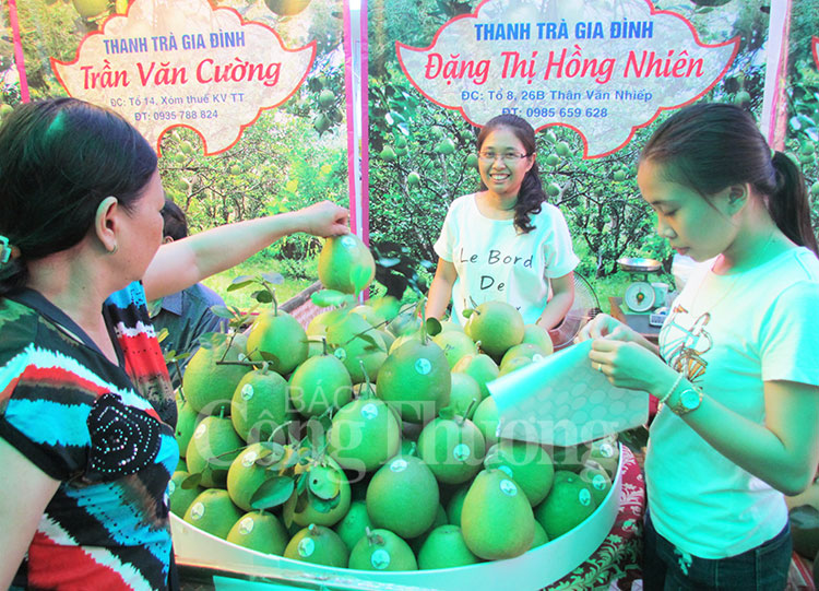 Thừa Thiên Huế: Khai mạc lễ hội Thanh trà lần thứ 5