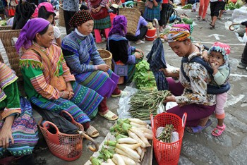 Thông tin hội nhập là giải pháp quan trọng