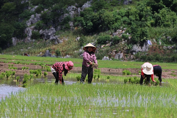 don bay sinh ke de khong ai bi bo lai phia sau bai 1 danh thuc tiem nang vung thao nguyen