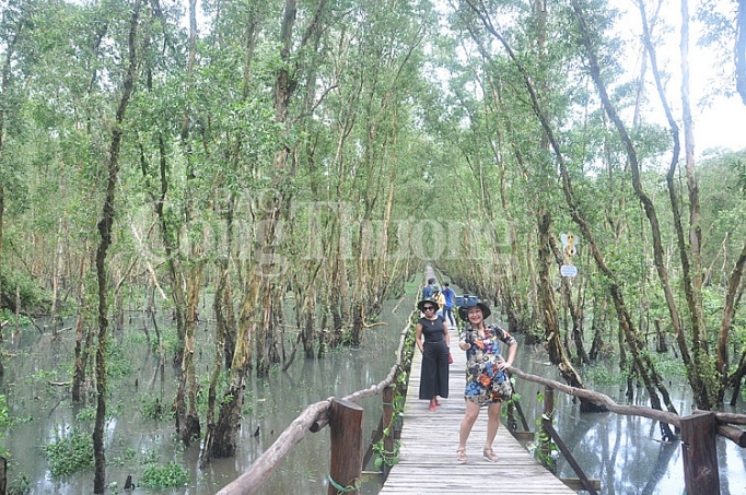 rung tram tra su ve dep mien bien an giang