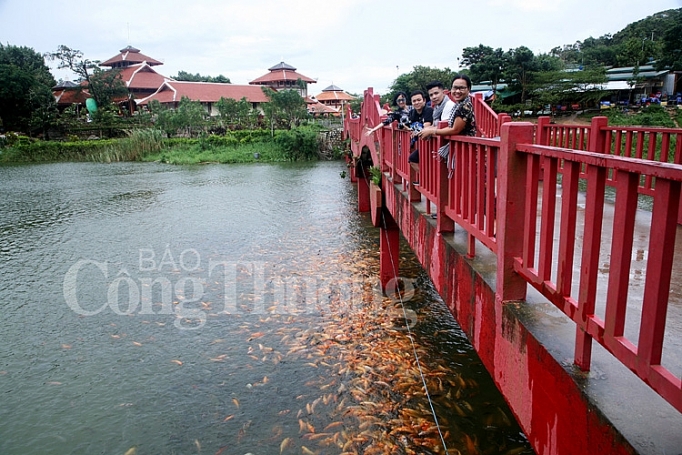 nui cam da lat vung song nuoc mien tay