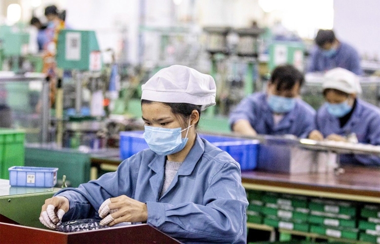 Năng suất lao động tại Việt Nam thấp so với các quốc gia trong khu vực