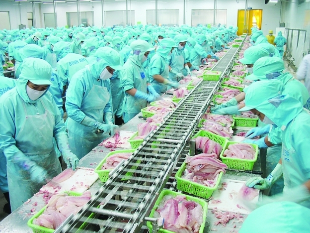 Hiểu biết của doanh nghiệp về CPTPP cải thiện đáng kể
