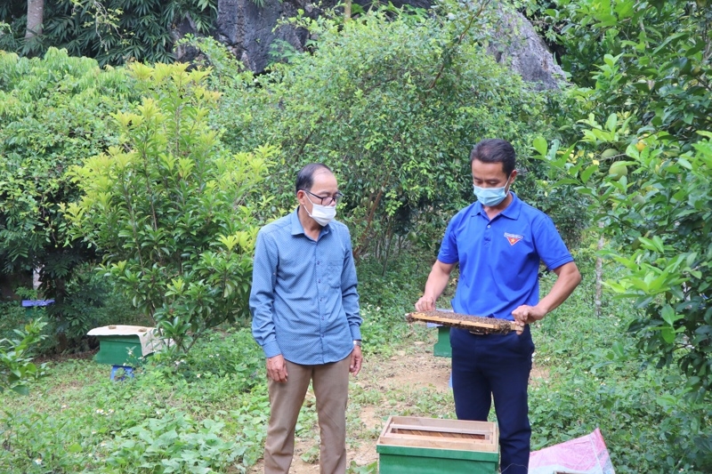 Mật ong Pha Mu – sản phẩm OCOP của tỉnh Lai Châu