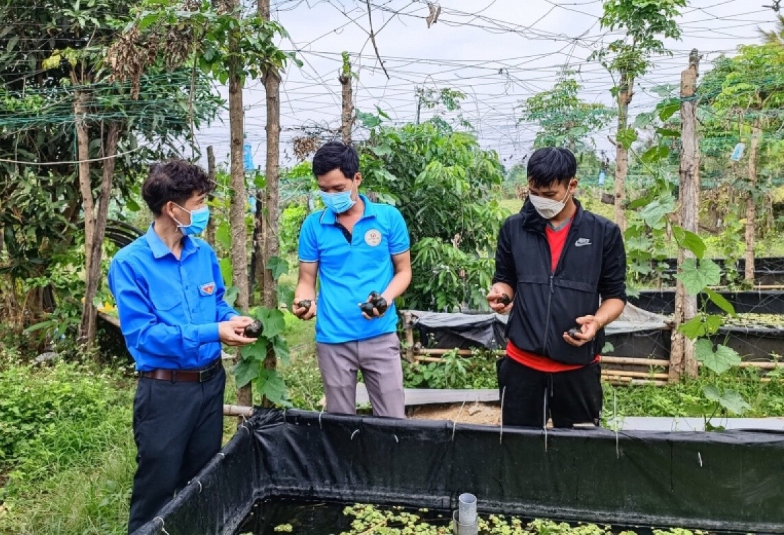 Đắk Lắk: Nâng cao kiến thức cho thanh niên dân tộc thiểu số khởi nghiệp