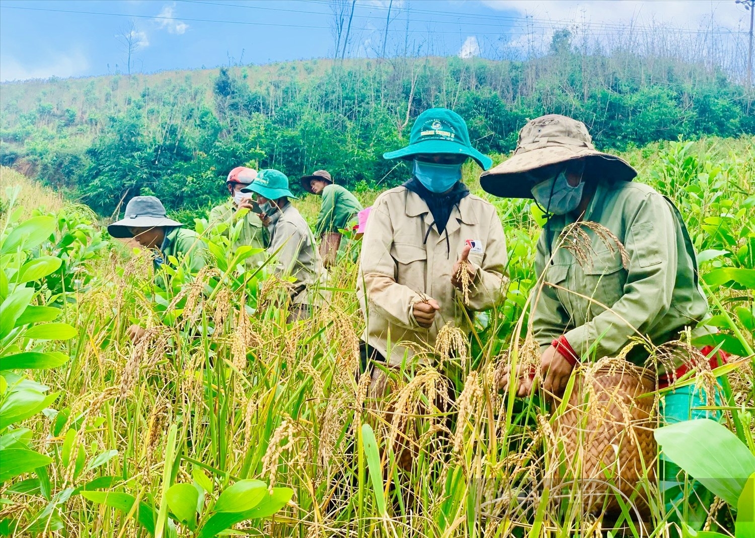 Đắk Lắk: Hỗ trợ sinh kế cho phụ nữ và đồng bào dân tộc thiểu số