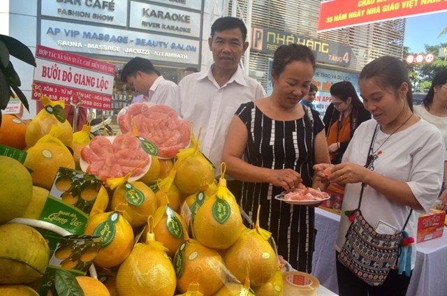 Hòa Bình: Lần đầu tiên xuất khẩu bưởi đỏ sang Vương quốc Anh