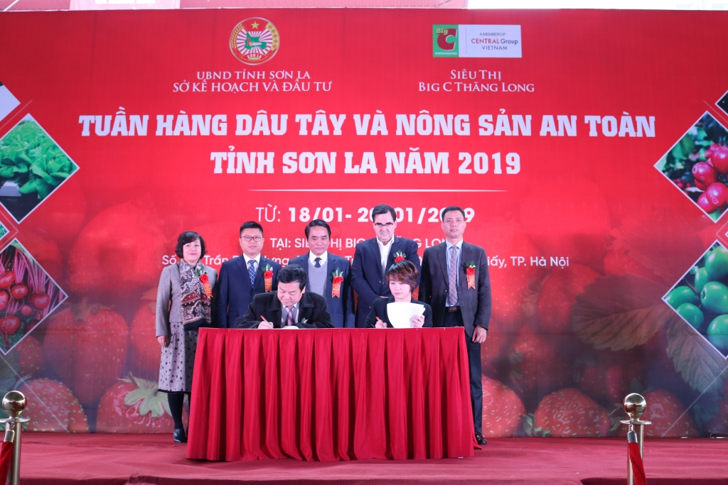 lan dau tien trai dau tay son la duoc quang ba den nguoi tieu dung thu do