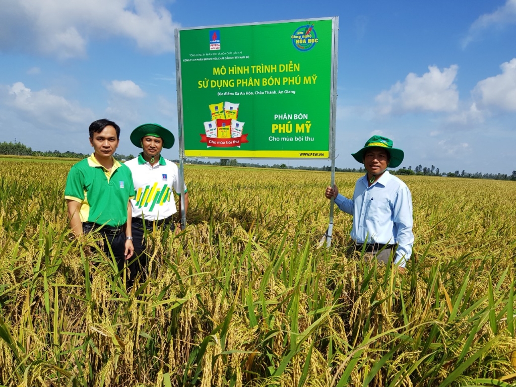 Sử dụng phân bón Phú Mỹ trên cây ổi và cây lúa mang lại hiệu quả cao
