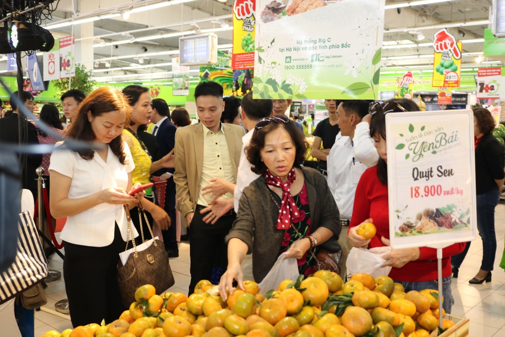 dac san yen bai lan dau quang ba tai ha noi