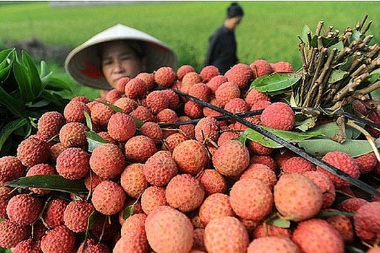 bo cong thuong ho tro tieu thu vai thieu hai duong tren gian hang viet truc tuyen