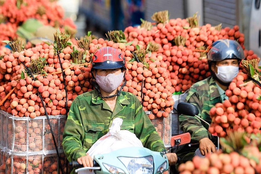 Bắc Giang có một mùa vải thiều thắng lợi trong bối cảnh dịch Covid-19 diễn biến phức tạp