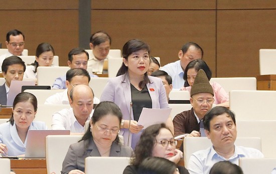 du an luat thanh tra sua doi hoat dong thanh tra kiem toan con chong cheo trung lap