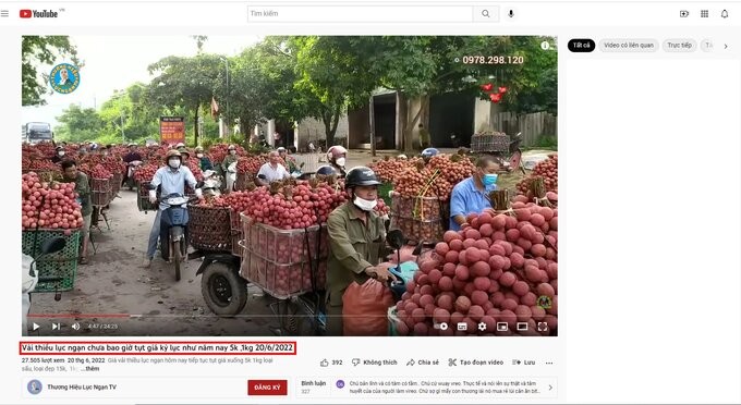 Video được đăng tải trên kênh YouTube Thương hiệu Lục Ngạn TV