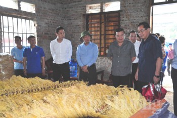 phat trien ben vung vung nguyen lieu thuoc la