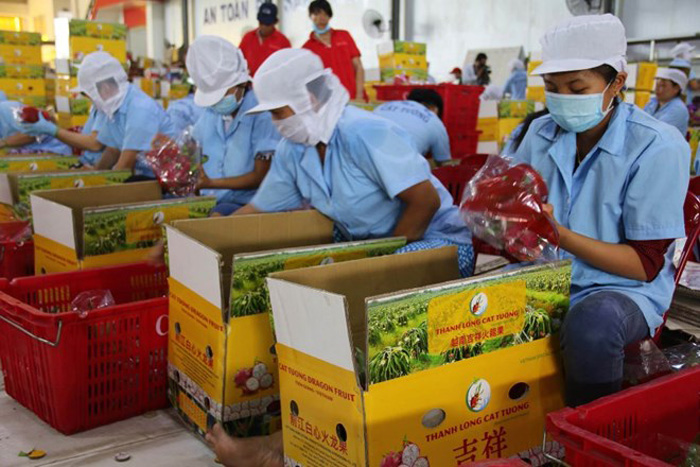 Việt Nam- Brazil:  Tận dụng mọi lợi thế phát triển thương mại và đầu tư