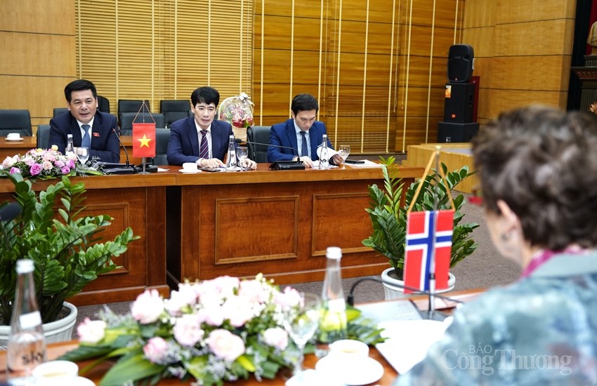 Thúc đẩy hợp tác Việt Nam – Na Uy về năng lượng tái tạo