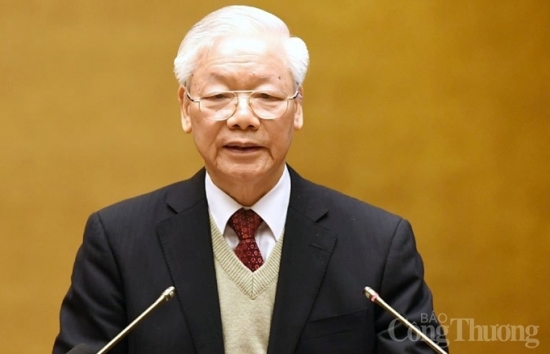 xay dung truong phai doi ngoai mang dam ban sac cay tre viet nam