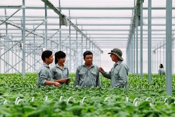 investment in hightech agriculture growing