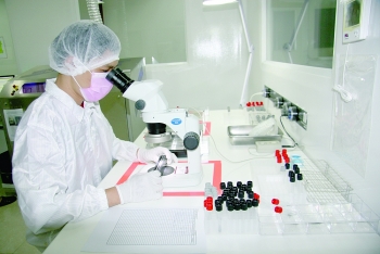 hcmc targets business promotion breakthrough