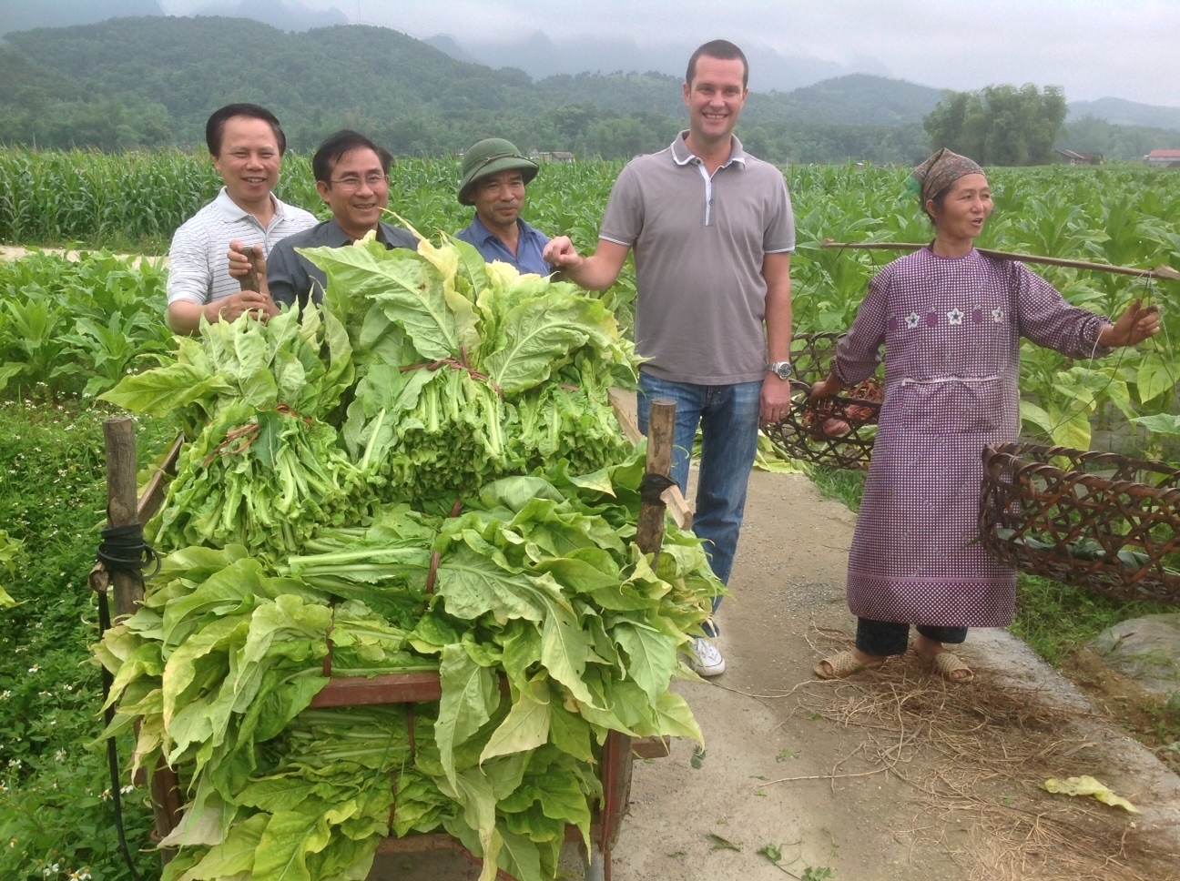 Phát triển vùng nguyên liệu góp phần xóa đói, giảm nghèo
