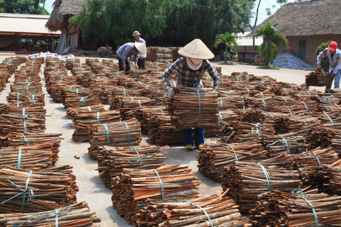 Công Thương Yên Bái: Một năm vượt khó hoàn thành nhiệm vụ