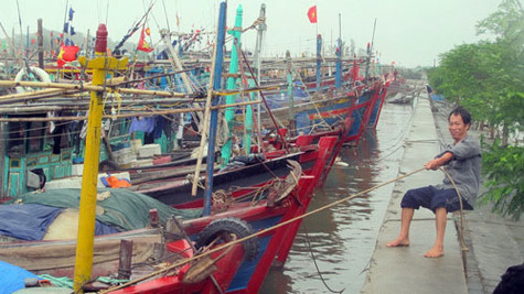 BCĐ Trung ương chỉ đạo ứng phó áp thấp nhiệt đới