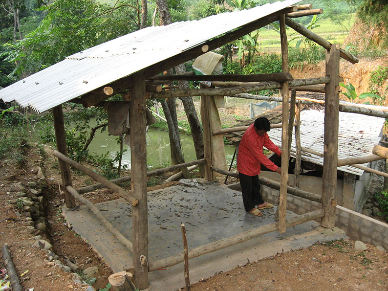 Vùng cao Bắc Hà chống đói, chống rét cho gia súc