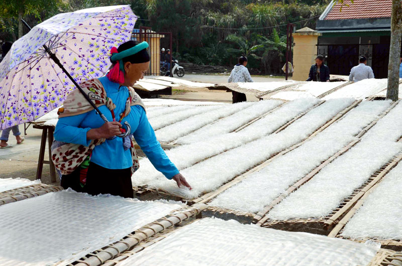 Miến dong Phia Đén đặc trưng miền sơn cước
