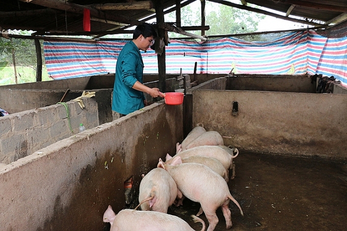 chuong trinh 135 hieu qua lon tu nhung kinh nghiem hay