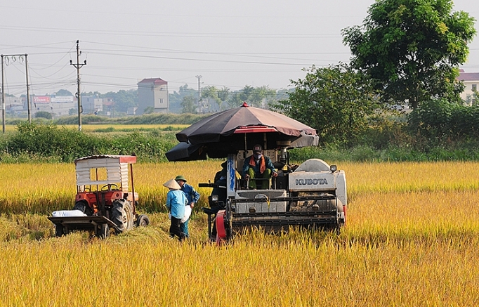 dong bang song cuu long thich ung voi bien doi khi hau co khi hoa chia khoa cua nong nghiep