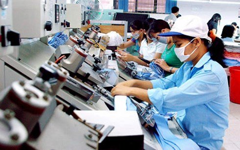 Kết quả hình ảnh cho Điều tra doanh nghiệp