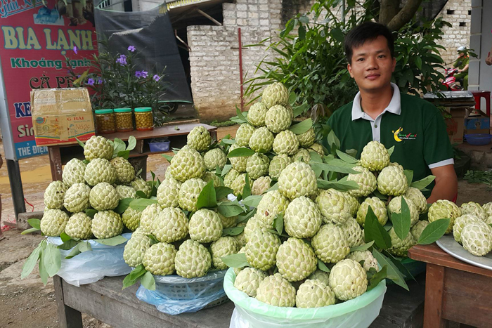 Thương hiệu “Na Chi Lăng” tiêu chuẩn VietGAP