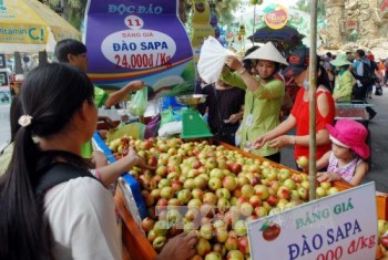 Nhiều hoạt động vui chơi, giải trí phục vụ thiếu nhi tại TP. Hồ Chí Minh