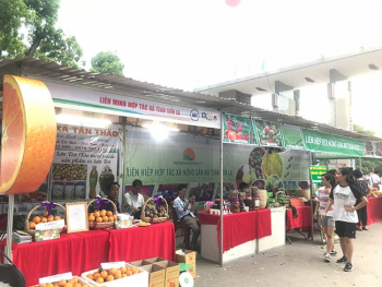 can co chinh sach xuc tien thuong mai cho hop tac xa