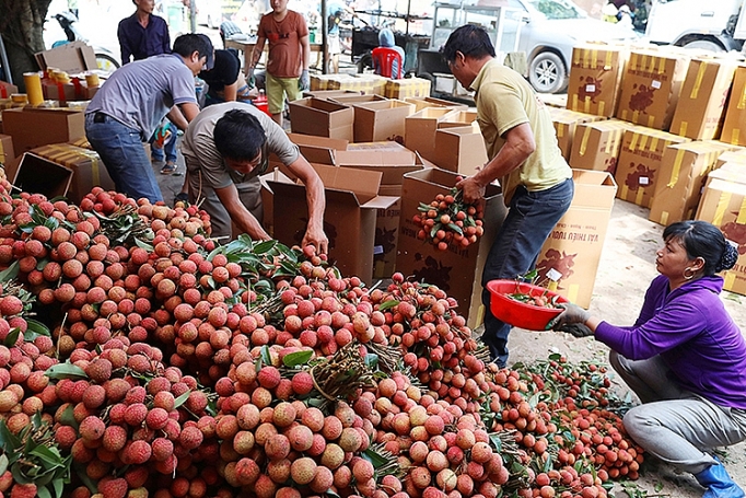 khong bi dong trong tieu thu vai thieu ky i noi lo mua qua chin