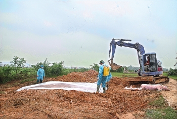 viet nam san xuat thanh cong vac xin phong benh dich ta lon chau phi