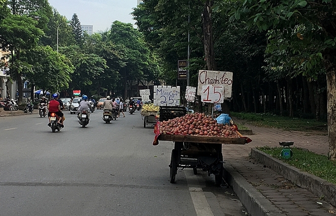 hoa qua ban rong co thuc ngon bo re