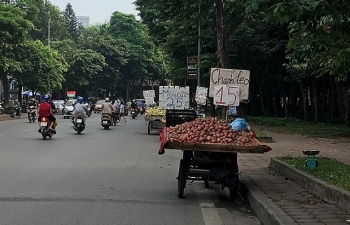 Hoa quả bán rong: Có thực "ngon, bổ, rẻ"?