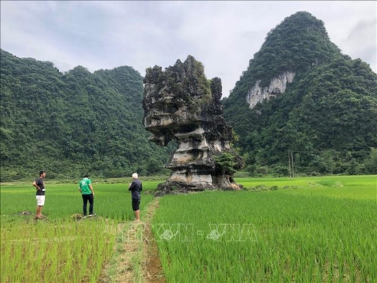 Đánh giá khảo sát Công viên địa chất toàn cầu UNESCO Non nước Cao Bằng