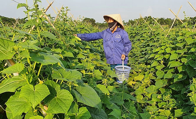 xay dung nong thon moi o thai nguyen huong toi nhung thanh tuu moi