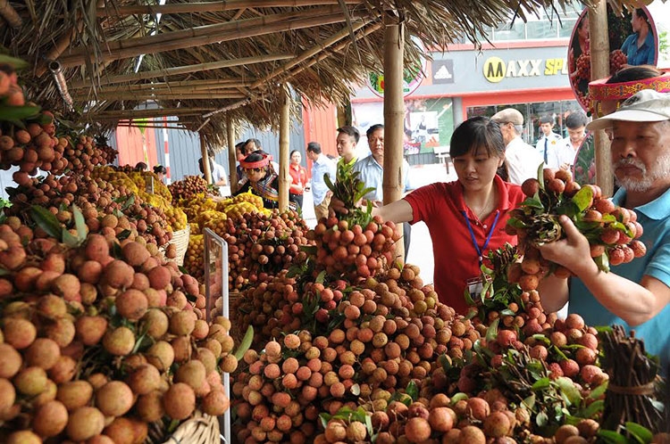 Kết quả hình ảnh cho tiêu thụ vải thiều