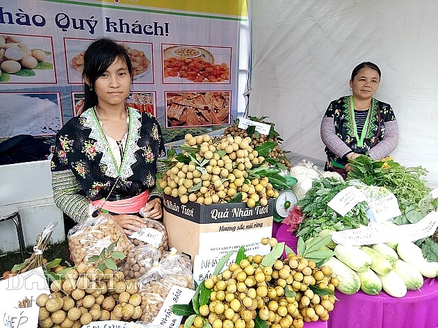 phan dau xuat khau 10 tan nhan song ma