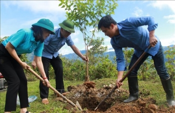 Vùng cao Mù Cang Chải thu hút du khách