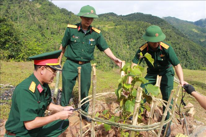 vung cao mu cang chai thu hut du khach